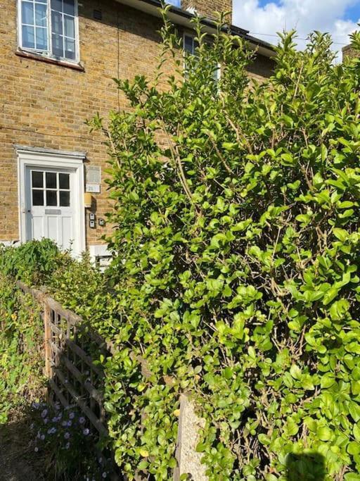 One Bedroom Putney Village Flat London Eksteriør bilde