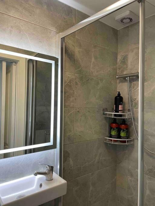 One Bedroom Putney Village Flat London Eksteriør bilde