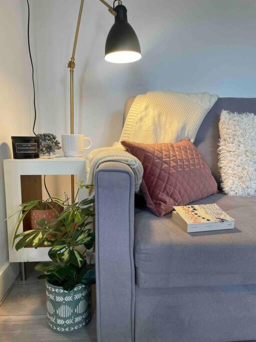 One Bedroom Putney Village Flat London Eksteriør bilde